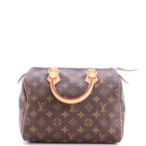 Louis Vuitton Speedy Handbag Canvas 25 #254920L16B